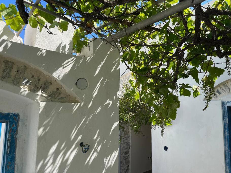 Dream House Little Villa - Amorgos Dış mekan fotoğraf