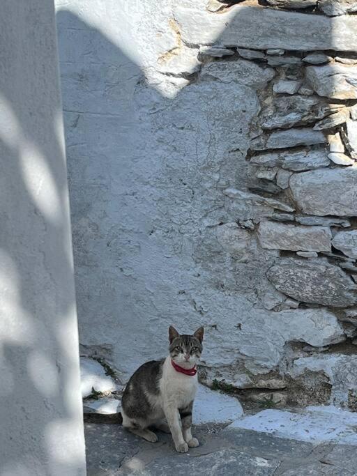 Dream House Little Villa - Amorgos Dış mekan fotoğraf
