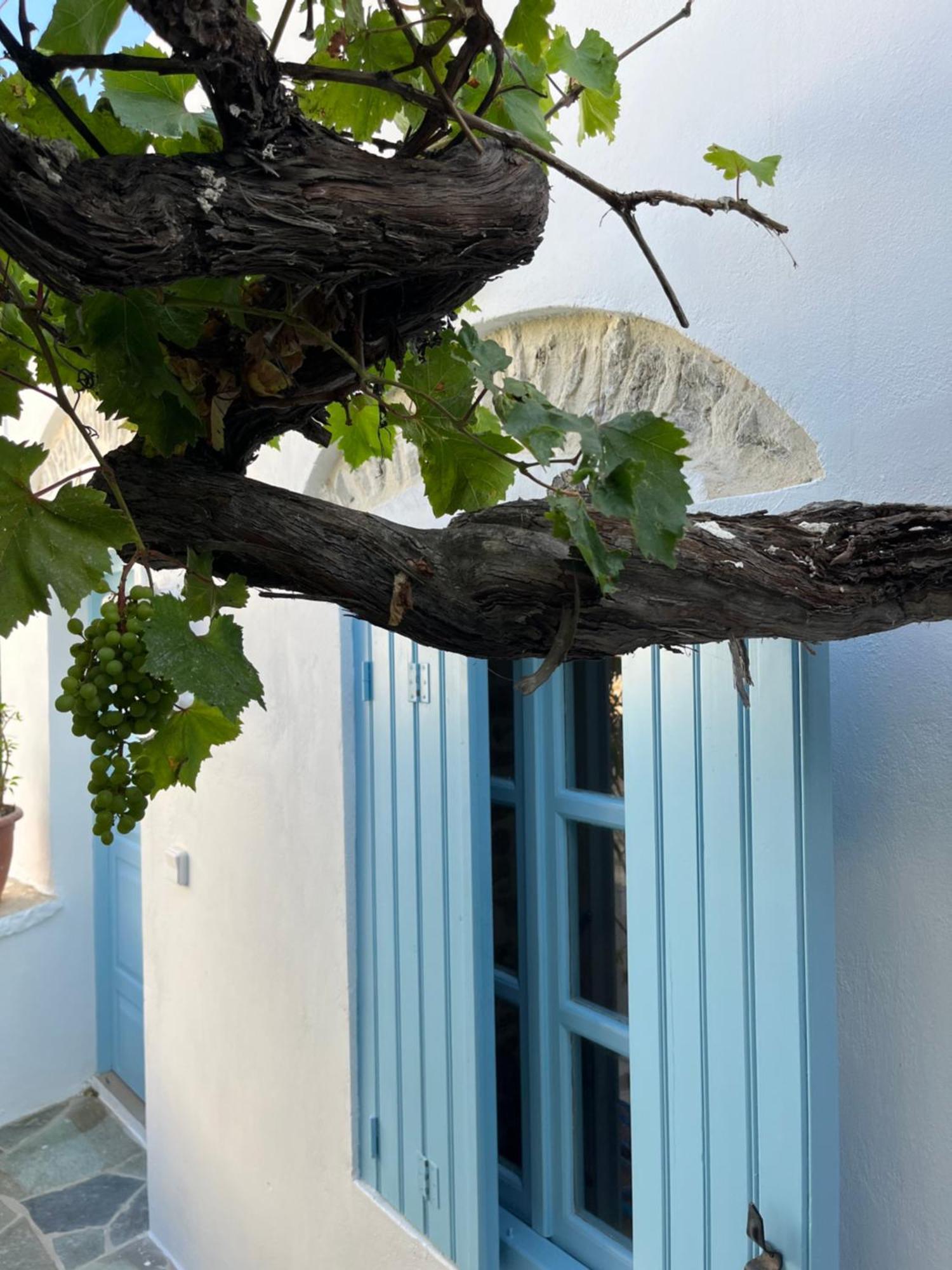 Dream House Little Villa - Amorgos Dış mekan fotoğraf