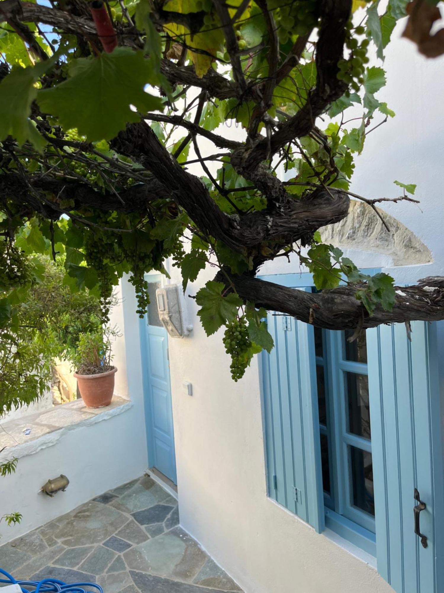 Dream House Little Villa - Amorgos Dış mekan fotoğraf
